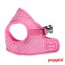 DOTTY HARNESS B